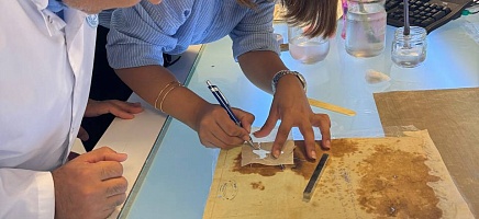 Знакомство с турецкими архивами продолжается фото галереи 7